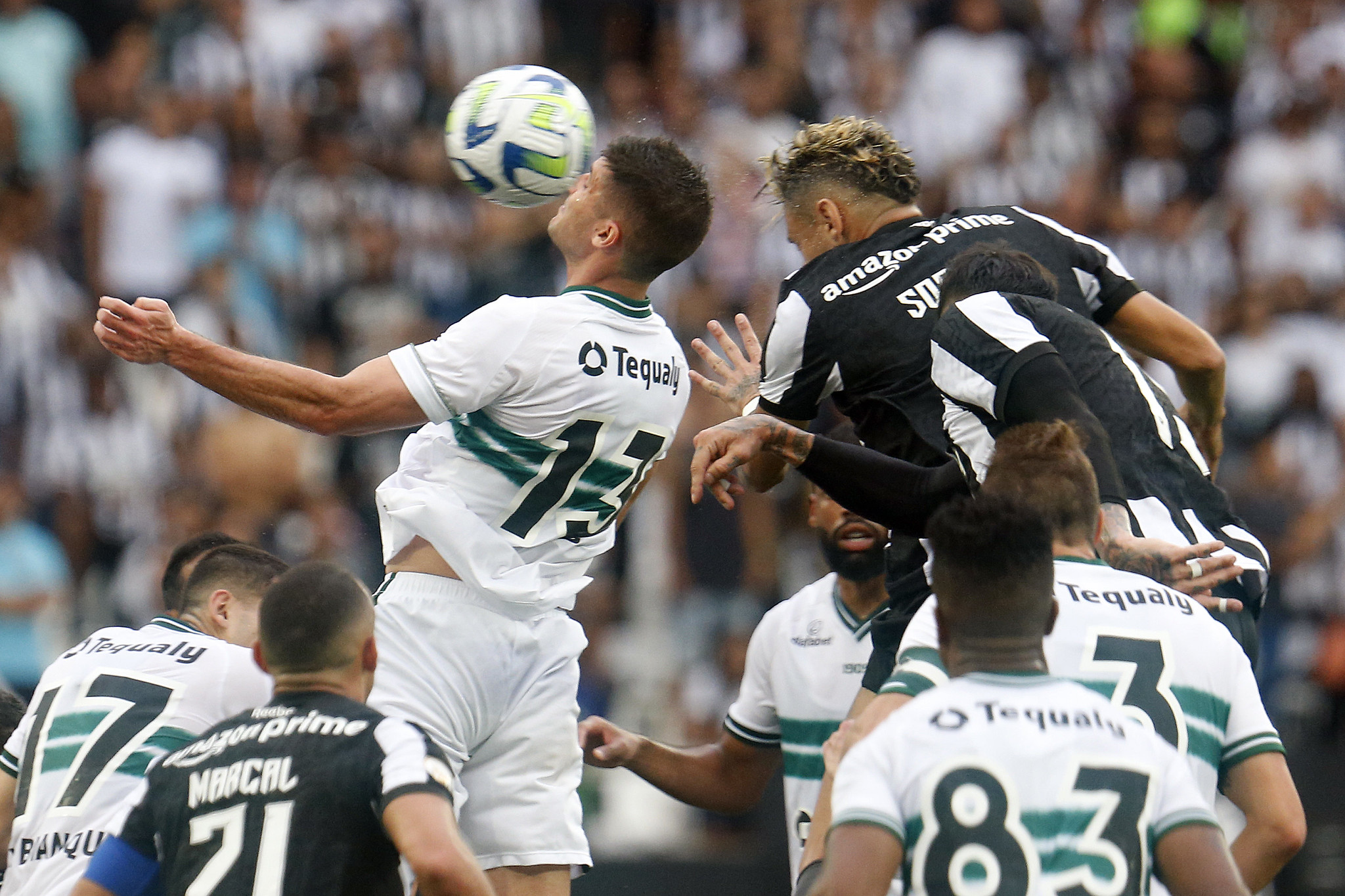 Botafogo X Coritiba: Confira Os Melhores Momentos Da Partida