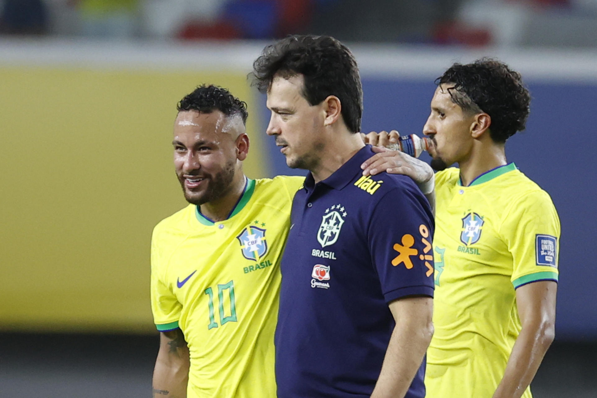 Fernando Diniz, técnico da seleção