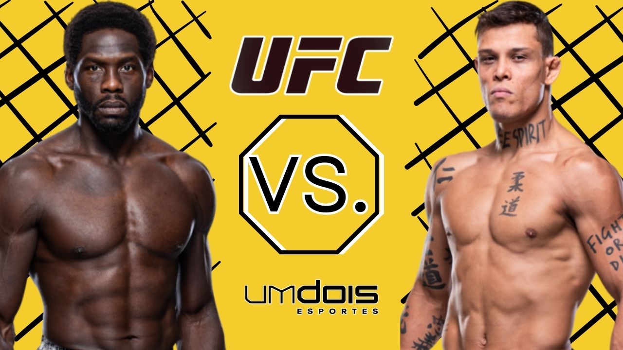  UFC Vegas 96: Cannonier x Borralho - Dicas, palpites e prognósticos - 24/08/2024 